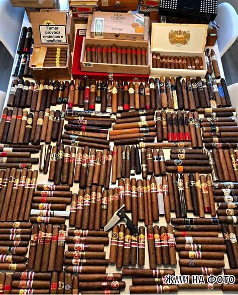 hermes cigar humidor|10 Best Cigar Humidors Reviewed & Buyer’s Guide.